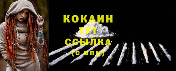 СК Каменногорск