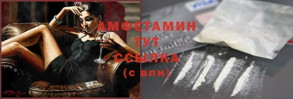 индика Каменск-Шахтинский