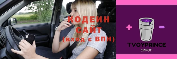 индика Каменск-Шахтинский