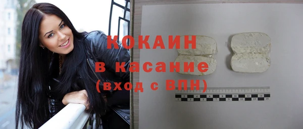 СК Каменногорск