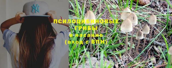 индика Каменск-Шахтинский