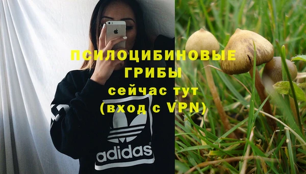 индика Каменск-Шахтинский