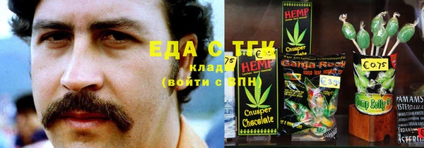 СК Каменногорск