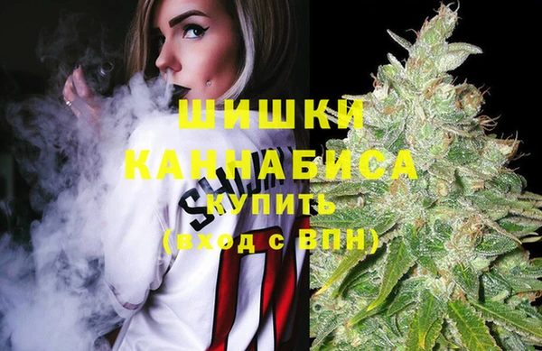 СК Каменногорск