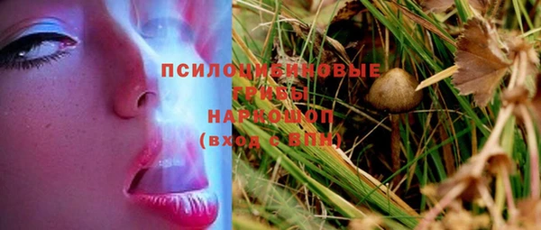 индика Каменск-Шахтинский